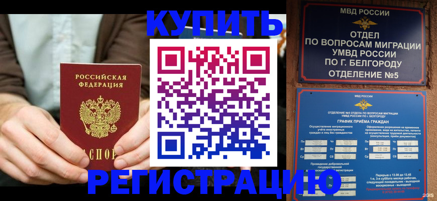 прописка 2025 в Гулькевичах